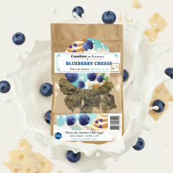 Fleurs Blueberry cheese