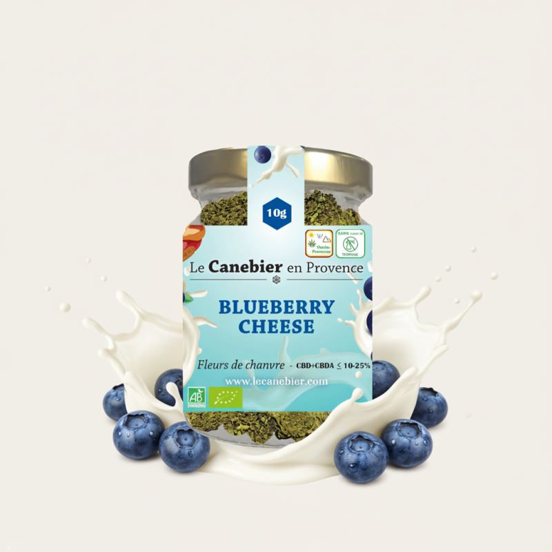 Blueberry cheese