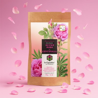 1767009656532-paacmeejspp3