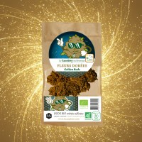 1767059947062-1i7q4nwzrxaj