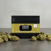 1767100778705-tcdo9e95wdp