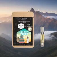 1767145467048-333aocx8b88