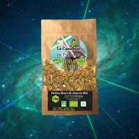 1767234543075-801mqo8w3g6