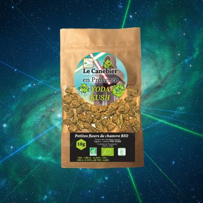 1767234543075-801mqo8w3g6