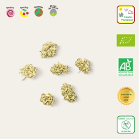 alpineokbudspop